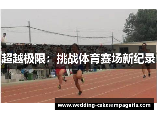 超越极限：挑战体育赛场新纪录